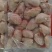 鸡翅中鲜货规格齐全（3040）4050(50➕)都有！！