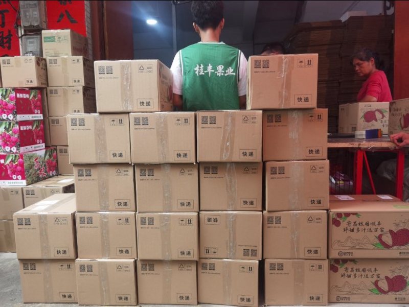 麻垌荔枝桂味六月红仙进奉情人荔等.荔枝代收代发