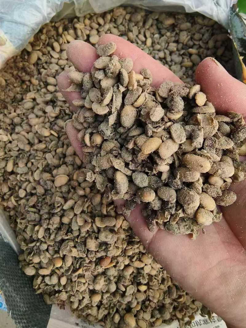 大豆有机肥，豆粕有机肥，大豆蛋白液厂家直供品质保证