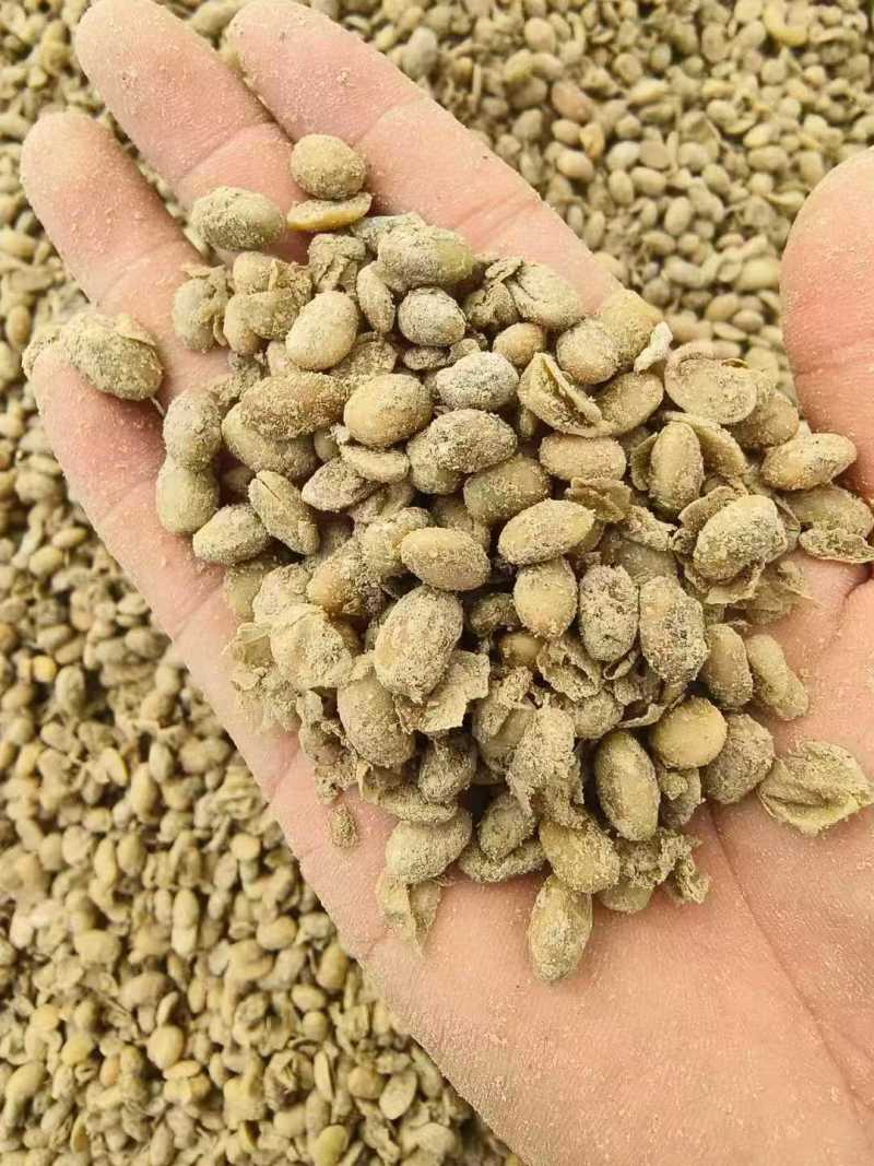 大豆有机肥，豆粕有机肥，大豆蛋白液厂家直供品质保证