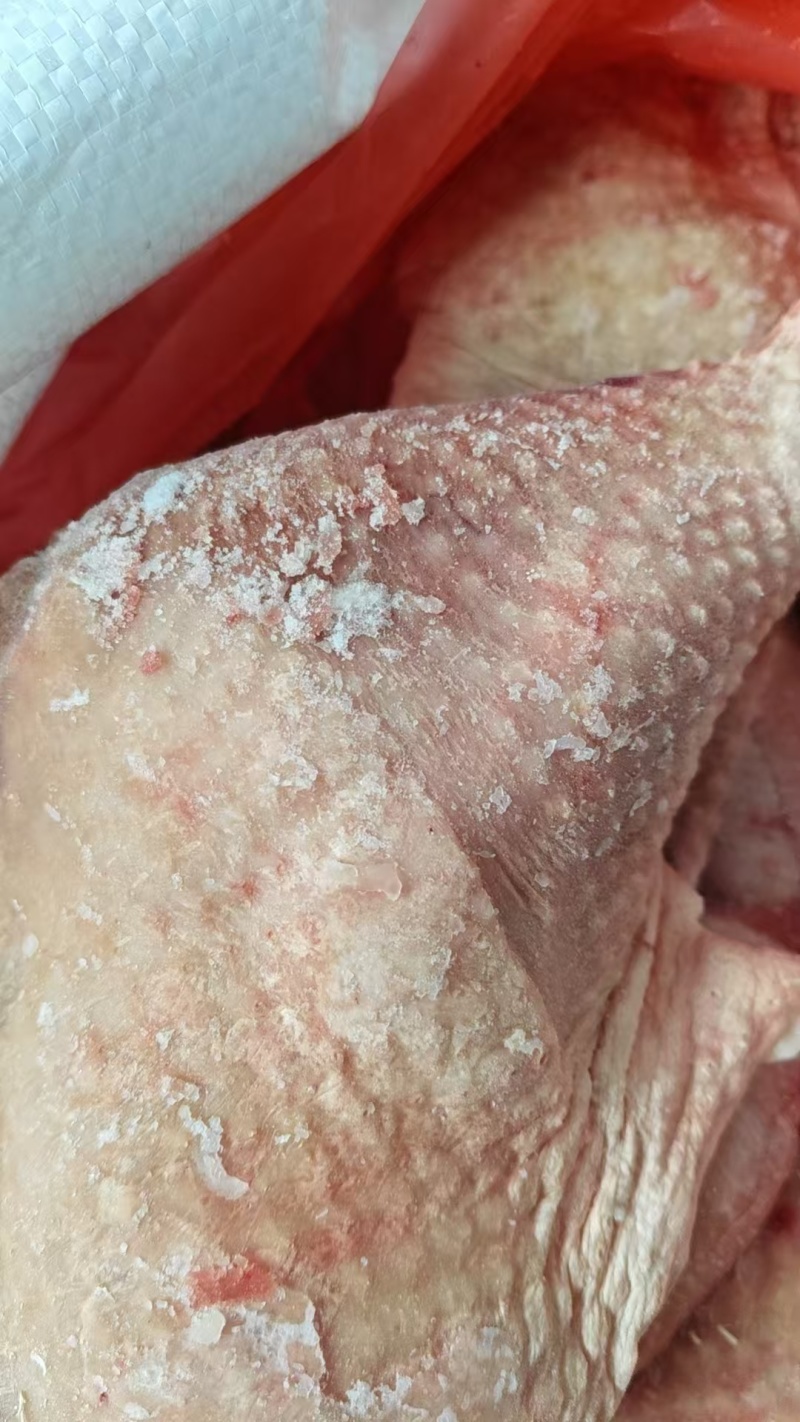 种鸡排腿有货
