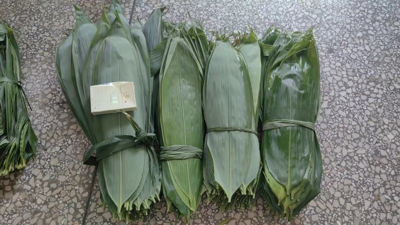 I棕叶节前冲刺，今天仅余两个车位