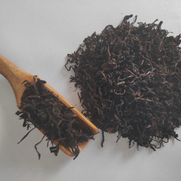 蒲公英原料茶