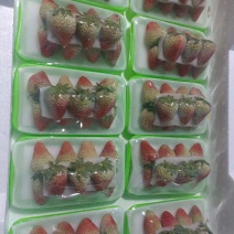 云南夏季草莓