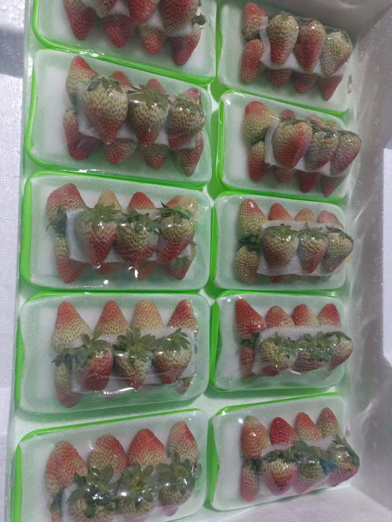 云南夏季草莓