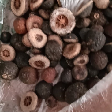 湖南益阳枳壳枳实