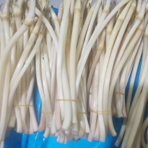 洪湖藕带