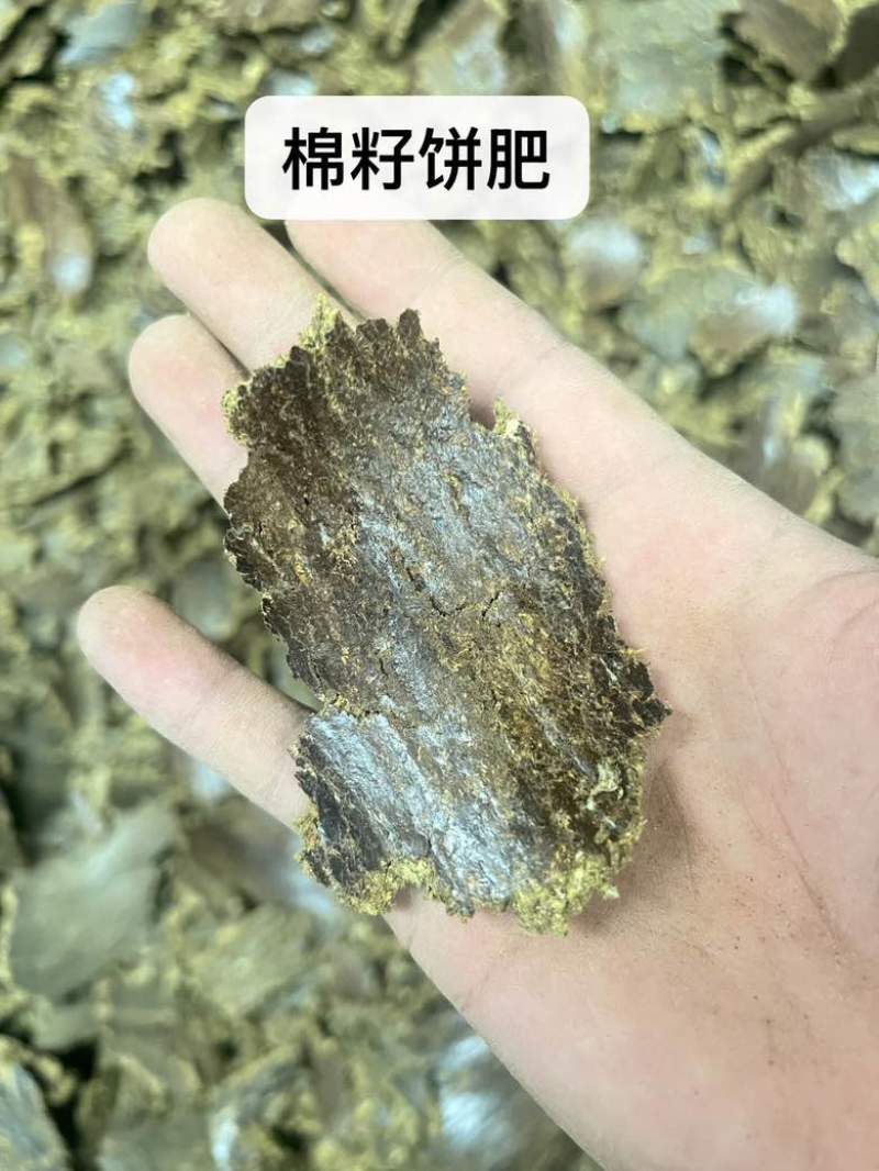 花生饼155，棉籽饼6258，菜籽饼5273，