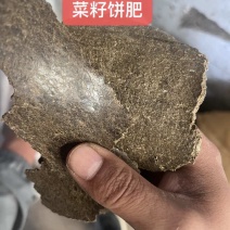 花生饼155，棉籽饼6258，菜籽饼5273，