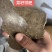 花生饼155，棉籽饼6258，菜籽饼5273，
