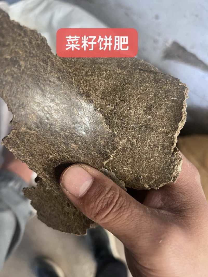 花生饼155，棉籽饼6258，菜籽饼5273，