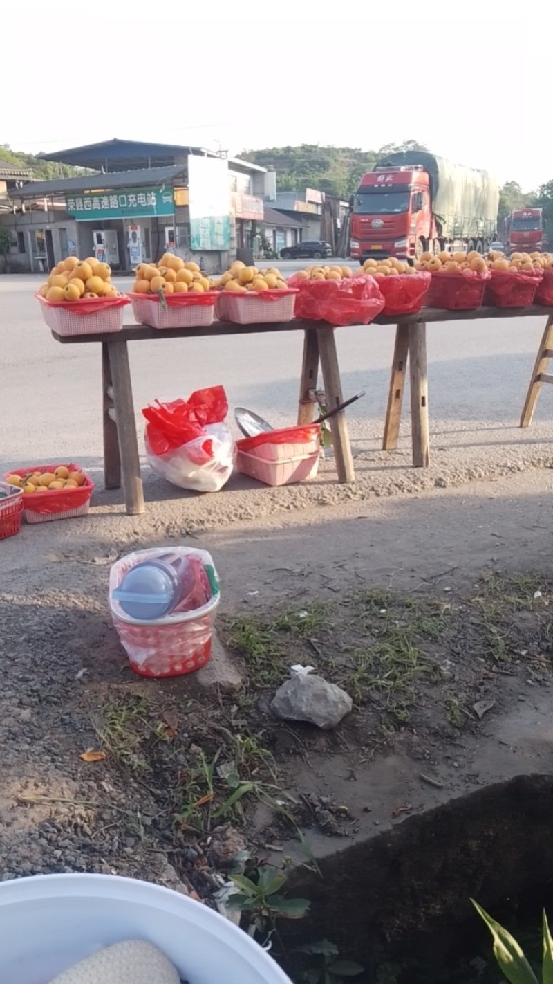 枇杷
