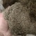 艾草艾段艾渣艾锤渣