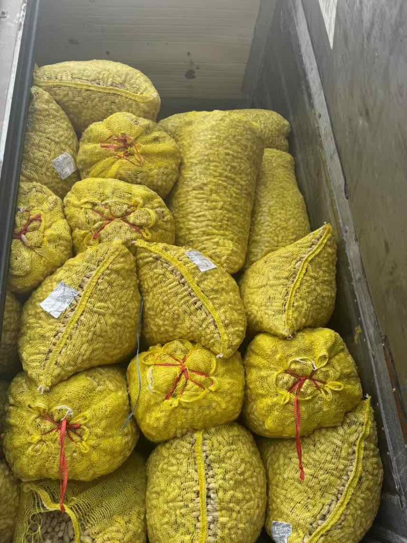 云南七彩花生，带壳干货、带壳鲜货、花生米。精品货不带泥