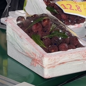 福建漳州龙海港尾杨梅