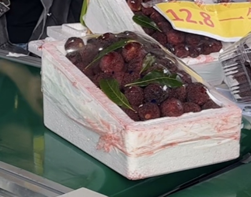 福建漳州龙海港尾杨梅