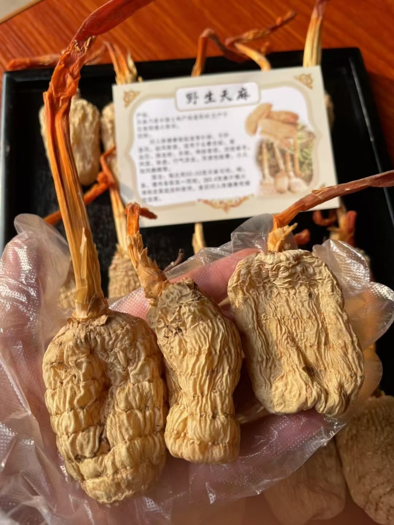 正宗云南野生天麻