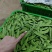 【推荐】荷兰豆严格把控质量价格合作共赢是目的寻求