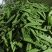 【推荐】荷兰豆严格把控质量价格合作共赢是目的寻求