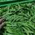 【荷兰豆】全年供应源头基地一手价格电商好货精品