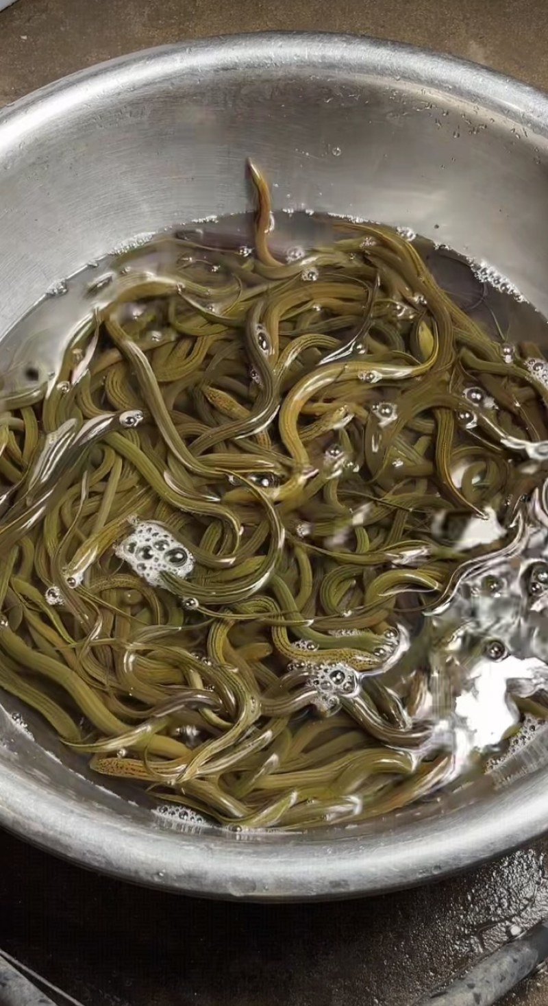 黄膳