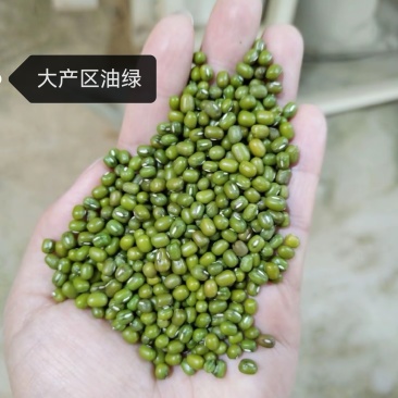 缅甸大产区绿豆，精品毛杂绿豆