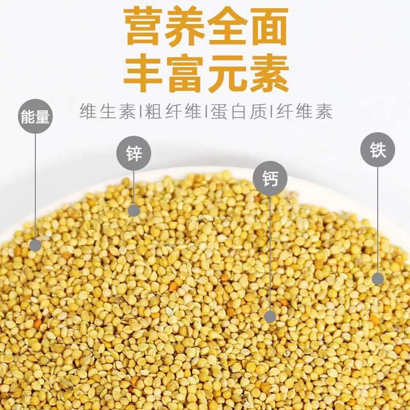 带壳黄谷子红谷子鸟粮鹦鹉玉鸟金丝雀新粮过疯过筛干净无杂