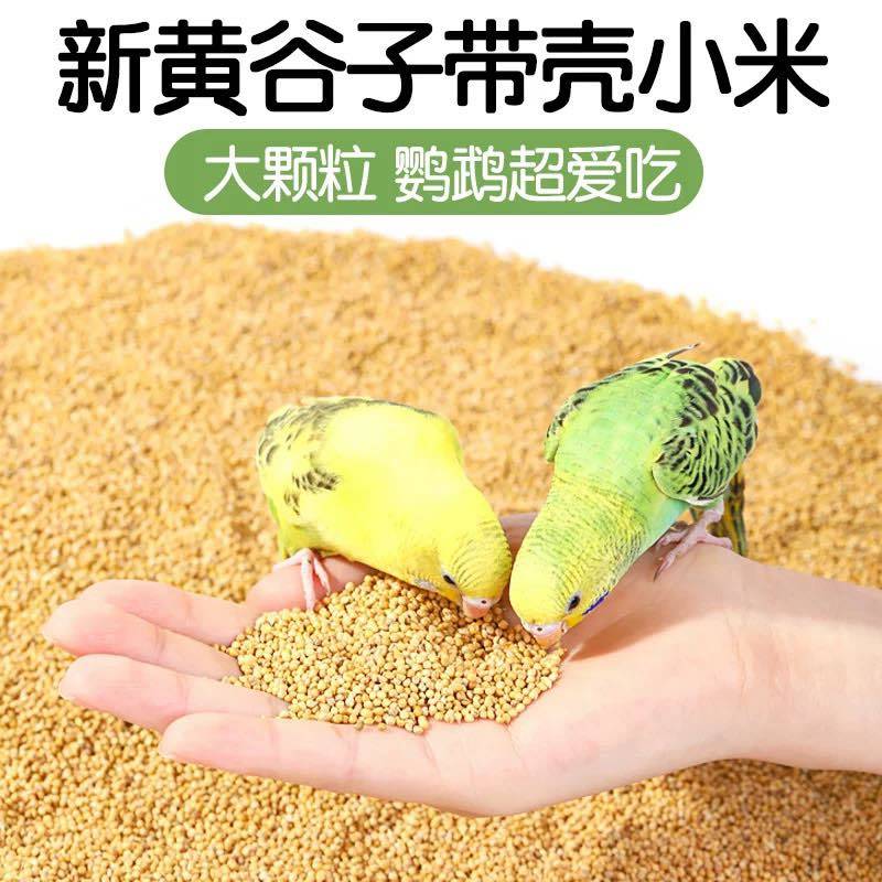 带壳黄谷子红谷子鸟粮鹦鹉玉鸟金丝雀新粮过疯过筛干净无杂