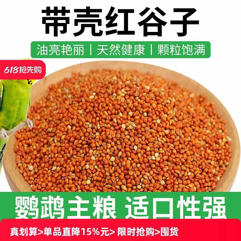 带壳黄谷子红谷子鸟粮鹦鹉玉鸟金丝雀新粮过疯过筛干净无杂
