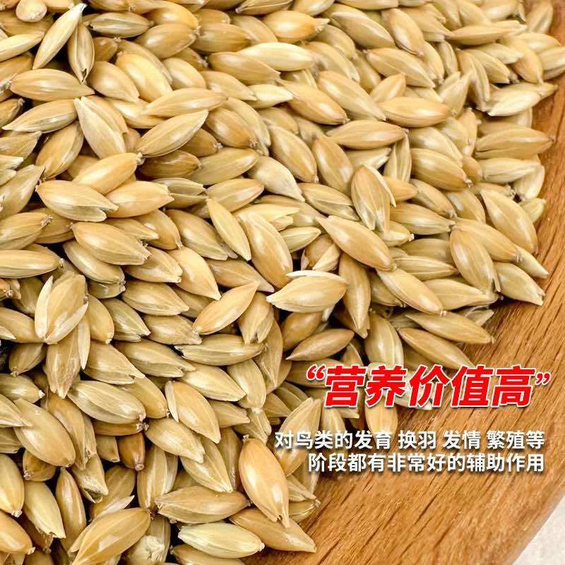 鸟食加纳利子白尖金丝雀芙蓉鹦鹉黄雀鸟粮鸽粮一件代发