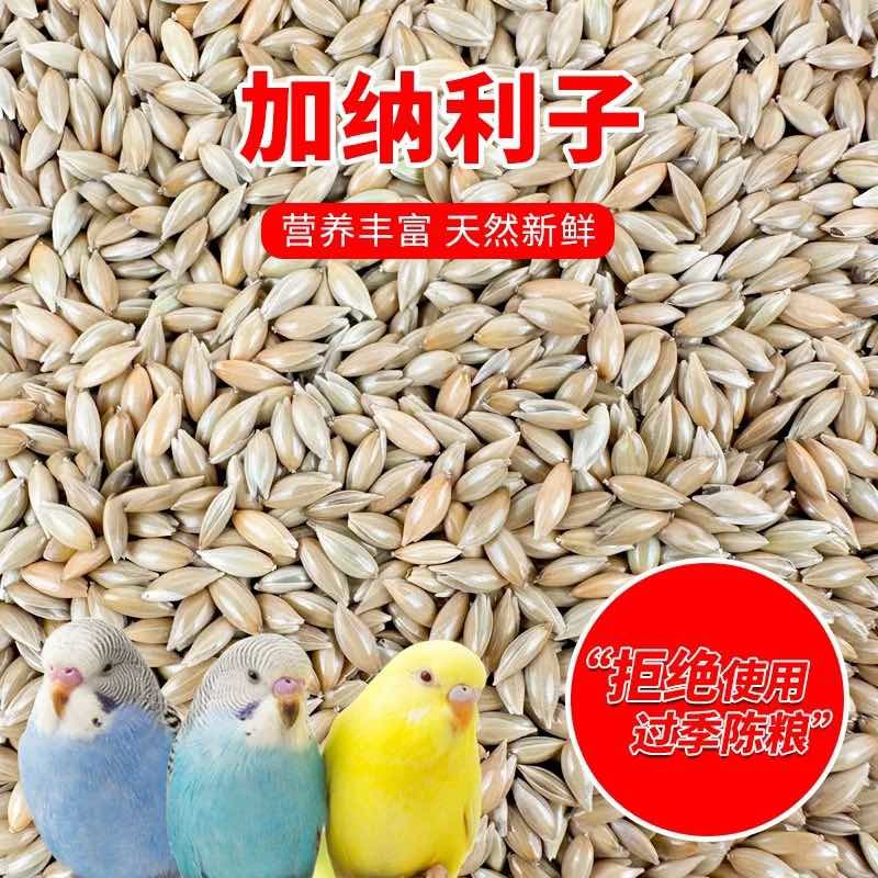 鸟食加纳利子白尖金丝雀芙蓉鹦鹉黄雀鸟粮鸽粮一件代发