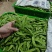 小荷兰豆产地直供欢迎老板咨询