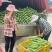 云南正宗大青芒