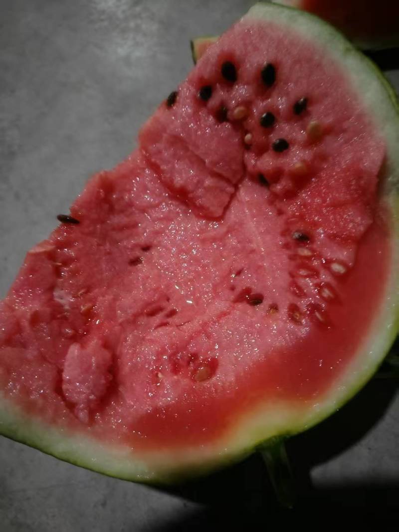 精品麒麟美都夏邑产地诚信第一全国直发