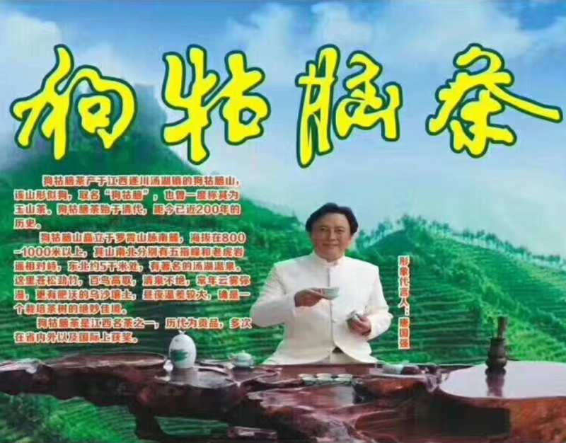 江西省遂川县高山云雾淋洋茶