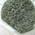 江西省遂川县高山云雾淋洋茶