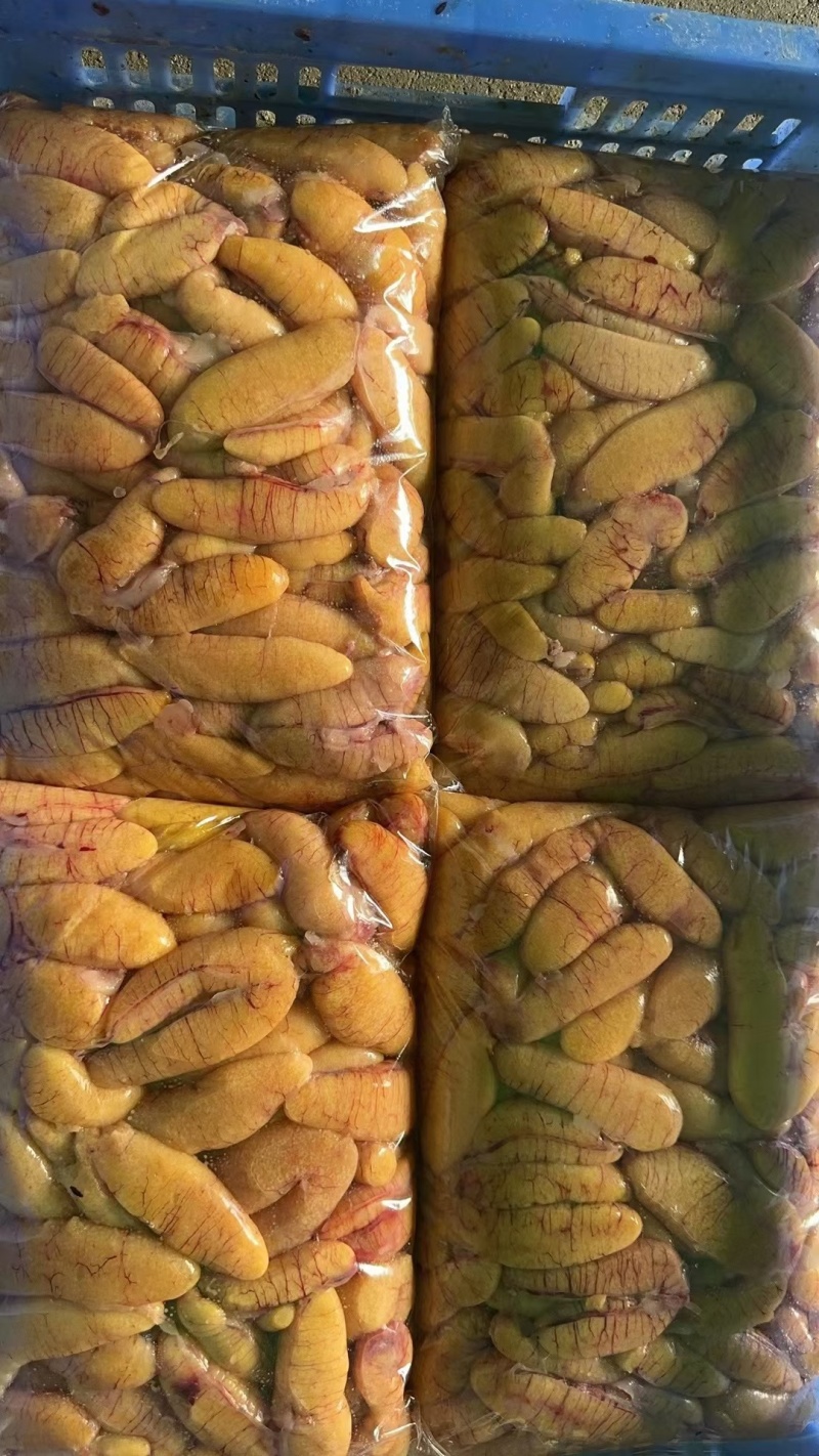 精品鲈鱼籽批发