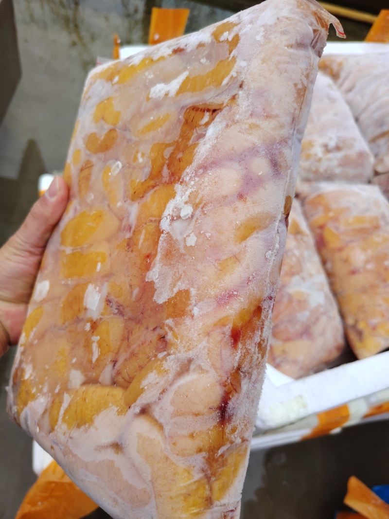 精品鲈鱼籽批发