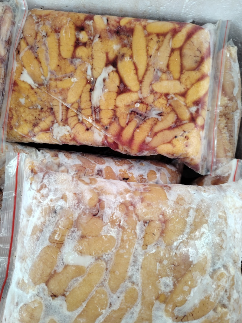 精品鲈鱼籽批发