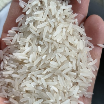 大米，黄米，砰米等