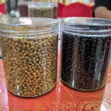 黑色绿豆