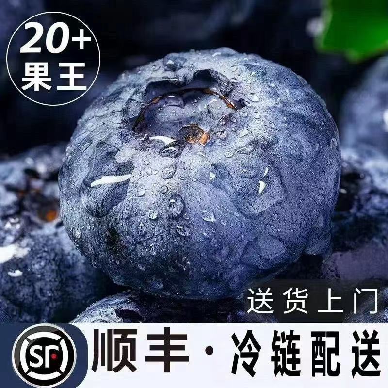 蓝莓