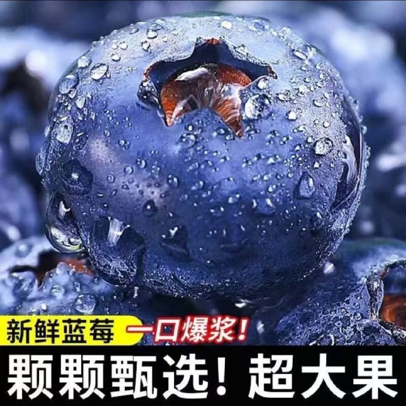 蓝莓