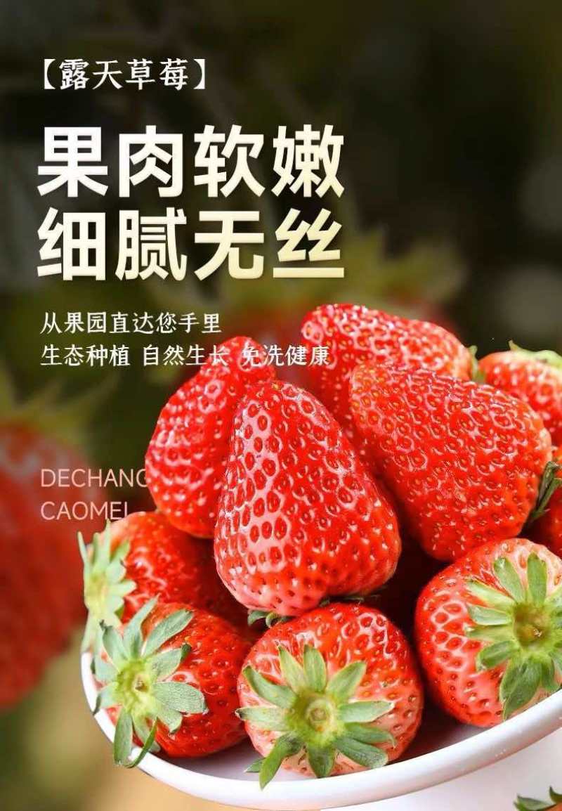 草莓