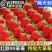 草莓