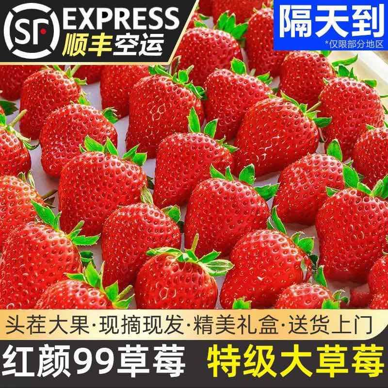 草莓