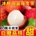 【现摘急速达】广东白糖罂荔枝当季新鲜水果非桂味糯米糍电商代发