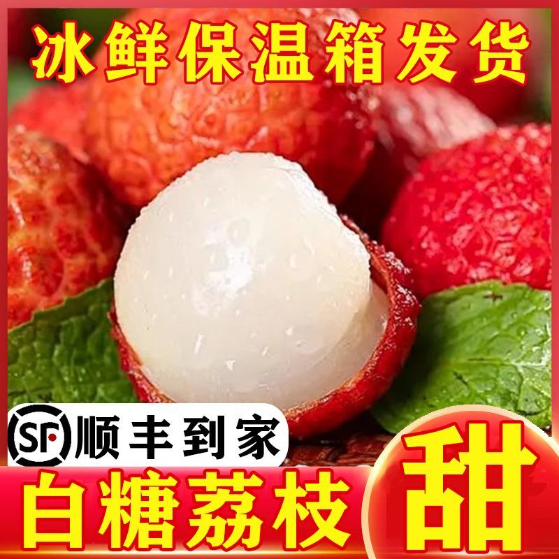 【现摘急速达】广东白糖罂荔枝当季新鲜水果非桂味糯米糍电商代发