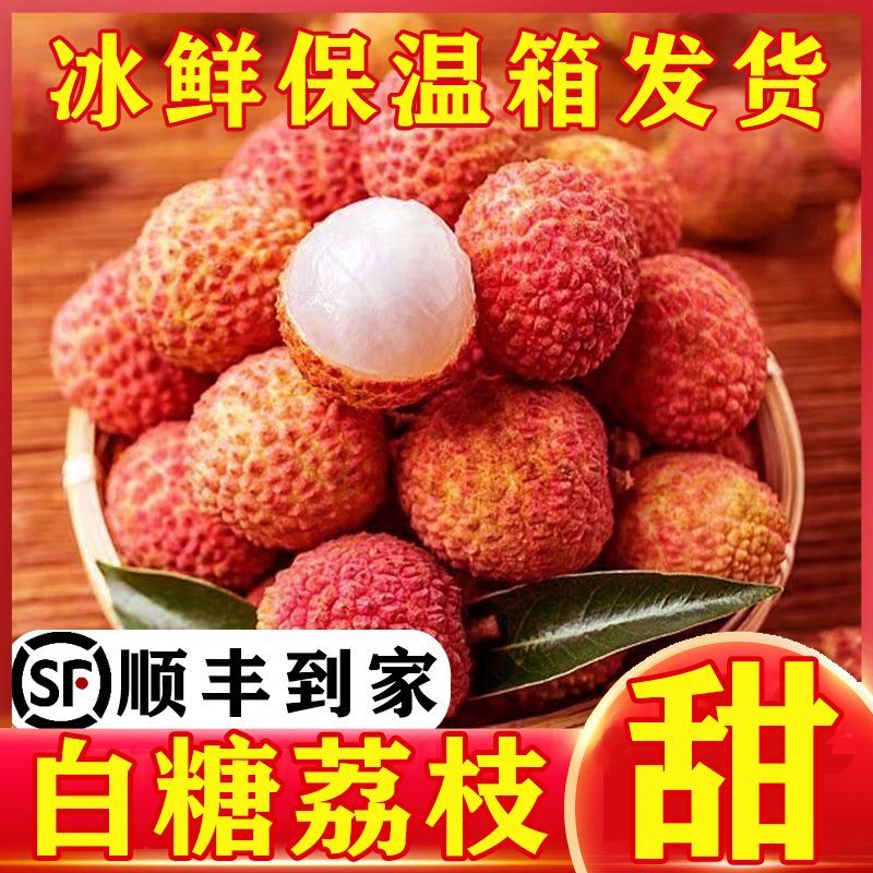 【现摘急速达】广东白糖罂荔枝当季新鲜水果非桂味糯米糍电商代发