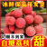 【现摘急速达】广东白糖罂荔枝当季新鲜水果非桂味糯米糍电商代发